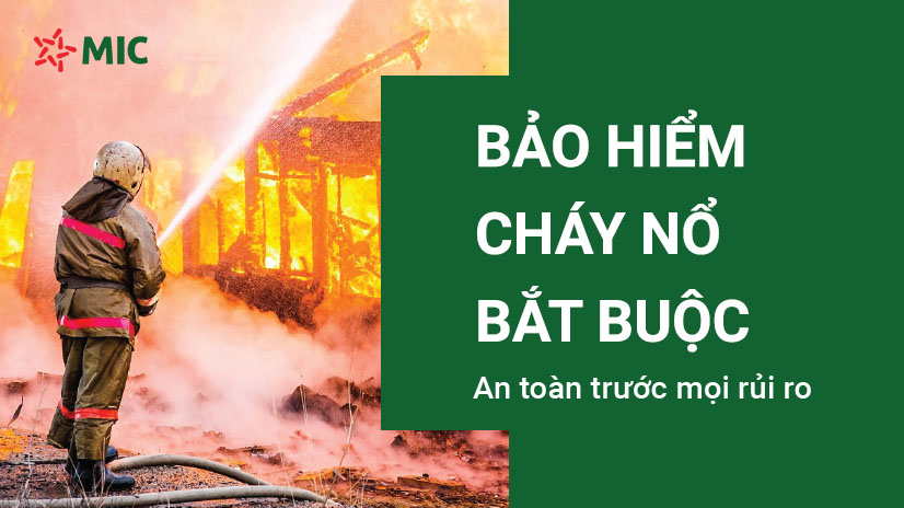 bao_hiem_chay_no_bat_buoc_826x464