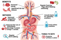 Tăng cường tuần hoàn máu: lợi ích, phương pháp, những điều cần lưu ý